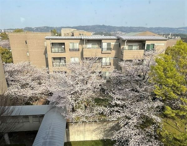 【2025春　🌸中庭でお花見🌸】 